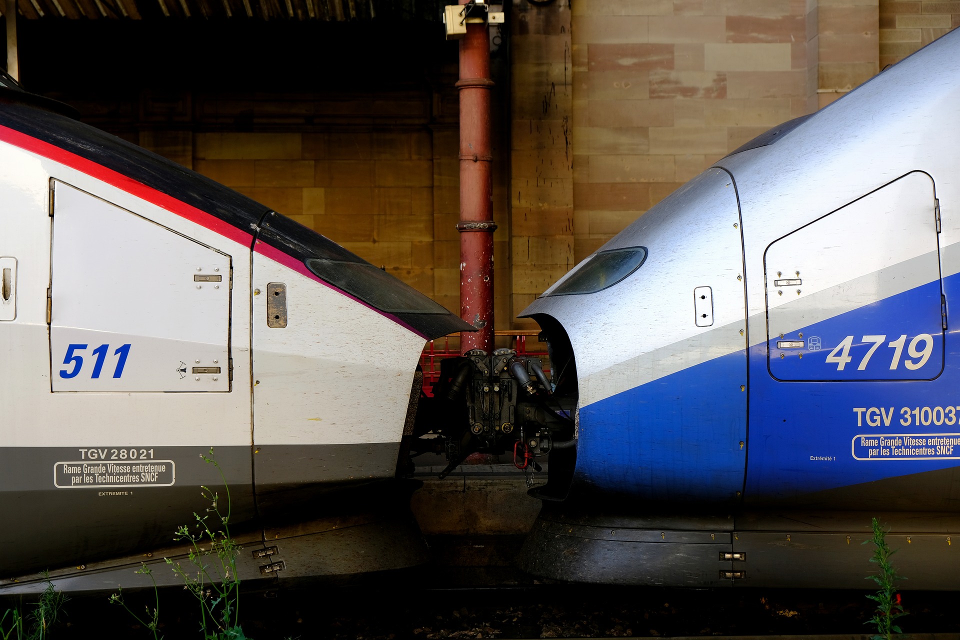 tgv-1-and-2-2425649_1920