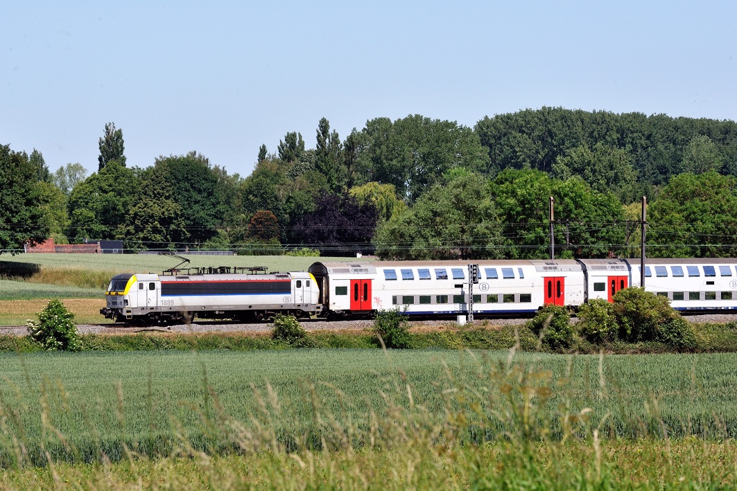 rijdende trein op sporen in de zomer